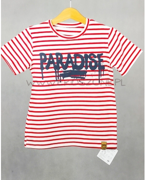 Koszulka dla chłopca T-SHIRT MIMI PARADISE paski